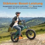 Batterie 48 V 13,5 Ah du ENGWE EP-2 3.0 BOOST
