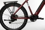 Bicyklet Raymond en ville