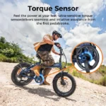 Batterie 52 V 16 Ah du ENGWE ENGINE Pro