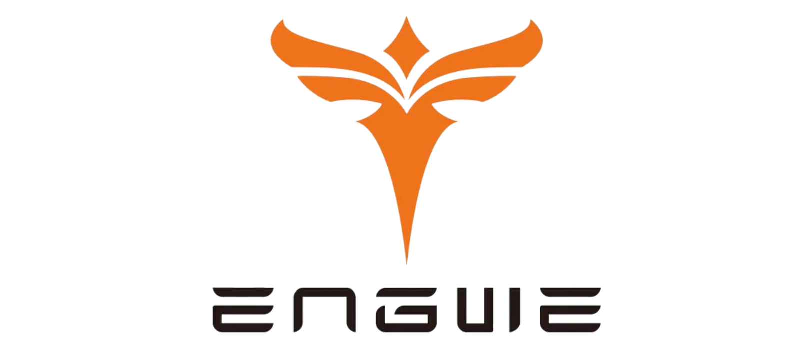 Logo Engwe