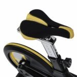 Volant d'inertie de 20 kg du Vélo de biking Darwin Evo 40.